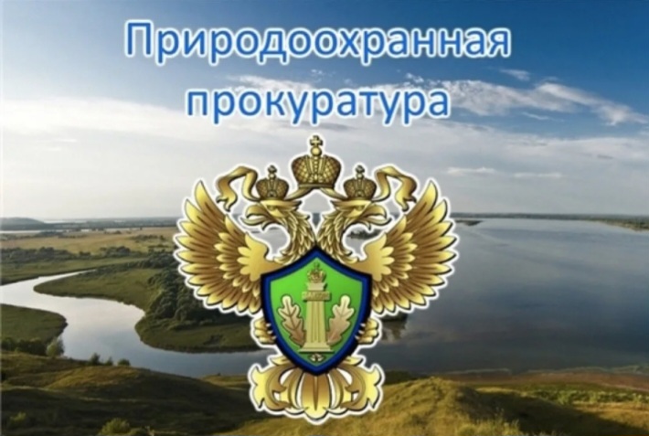 Информация Ивановской межрайонной природоохранной прокуратуры о выявленных нарушениях и принятых мерах.